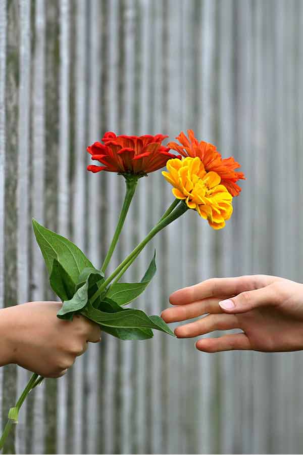 Sitkeä Selviytyjä lahjakortti